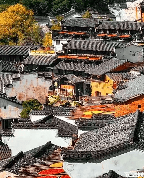 谈谈泾县汪氏（上）