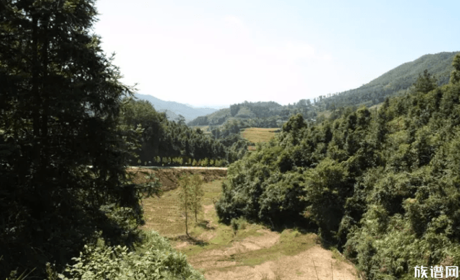 高安汪姓村探源