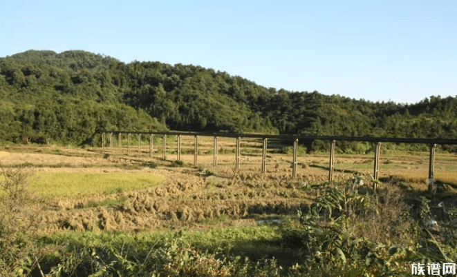 高安汪姓村探源